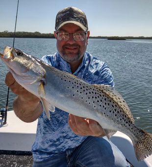 Crystal River: Home to thriving Speckled Trout